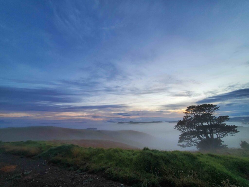 Long Covid Understanding Symptoms, Duration, and Natural Approaches to Support Recovery Healing Wave Ozone Therapy New Zealand 01