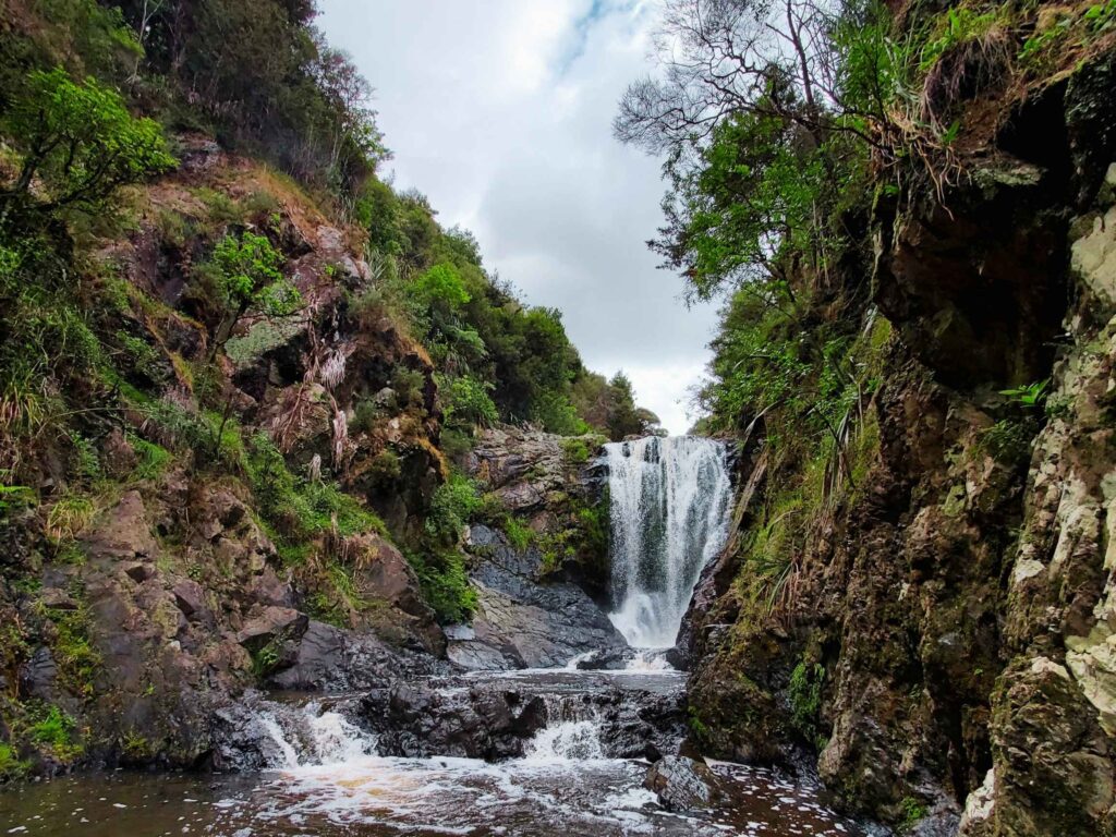 Ozone Therapy as a Supportive Approach For Long Covid at Healing Wave Ozone New Zealand 03